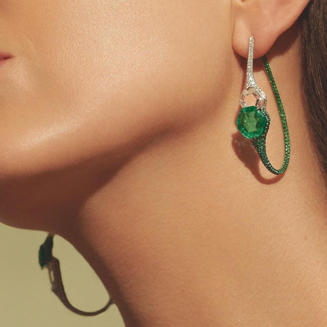 Earrings